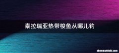 泰拉瑞亚热带梭鱼从哪儿钓