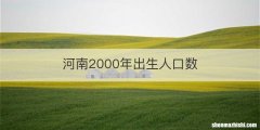 河南2000年出生人口数