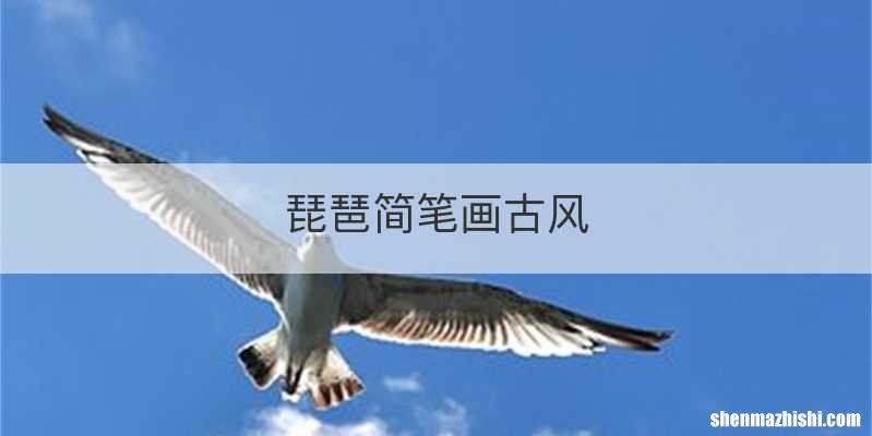 琵琶简笔画古风