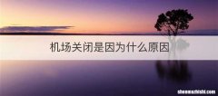 机场关闭是因为什么原因