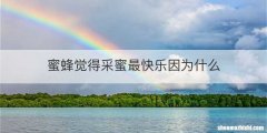 蜜蜂觉得采蜜最快乐因为什么