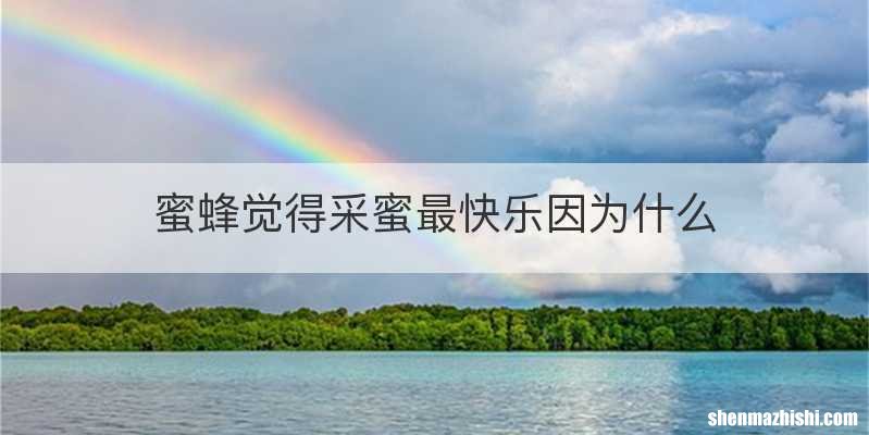 蜜蜂觉得采蜜最快乐因为什么