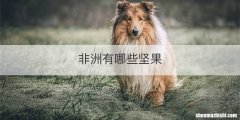 非洲有哪些坚果