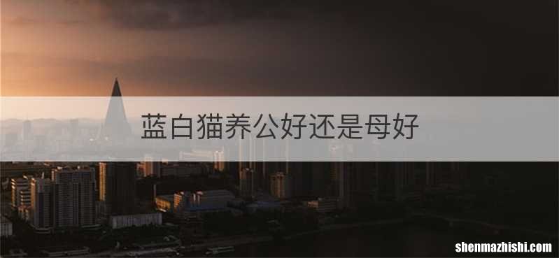 蓝白猫养公好还是母好