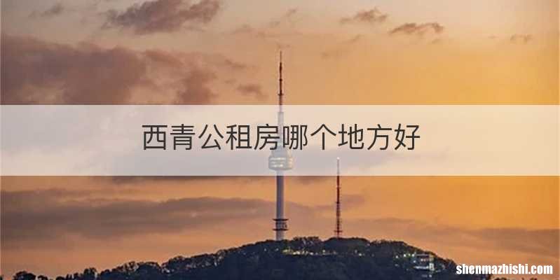 西青公租房哪个地方好