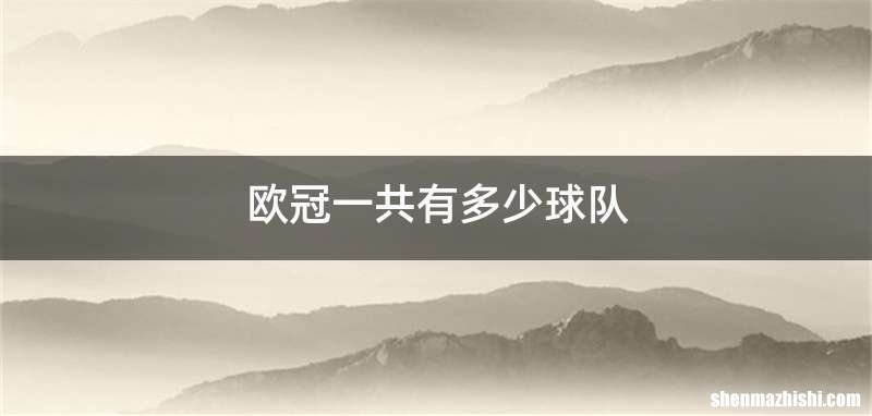 欧冠一共有多少球队