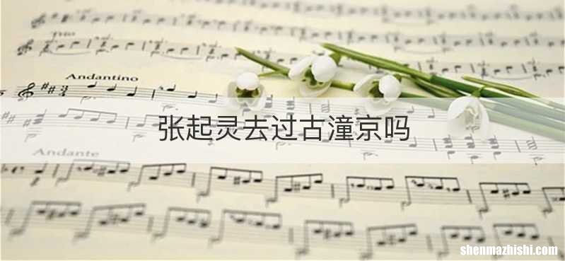 张起灵去过古潼京吗
