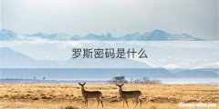 罗斯密码是什么