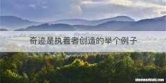奇迹是执着者创造的举个例子