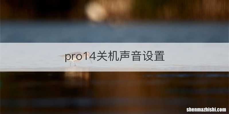 pro14关机声音设置