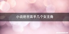 小说绝世高手几个女主角