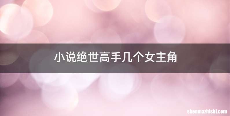 小说绝世高手几个女主角