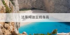 法蒂玛迪亚姆身高