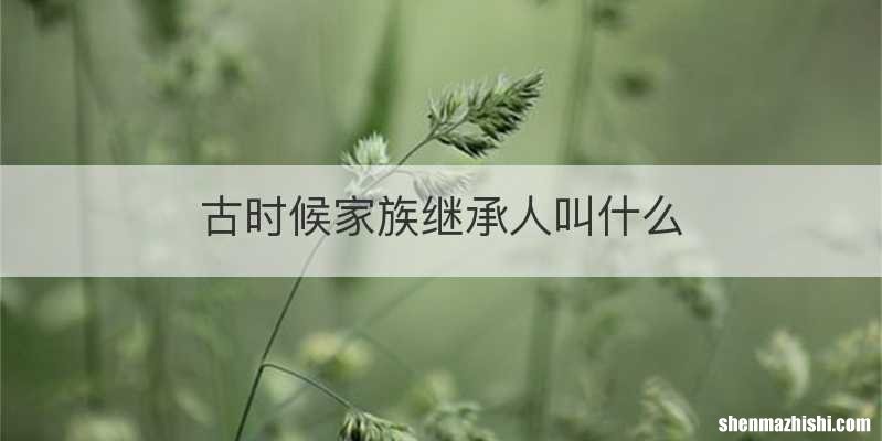 古时候家族继承人叫什么