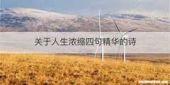 关于人生浓缩四句精华的诗