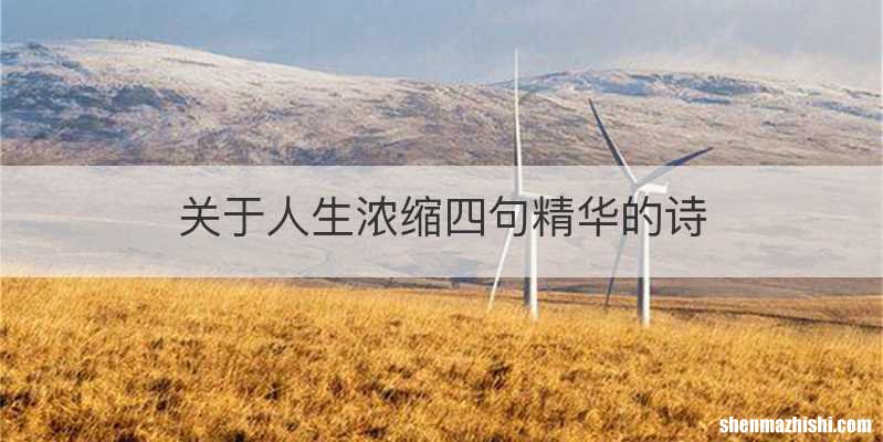 关于人生浓缩四句精华的诗