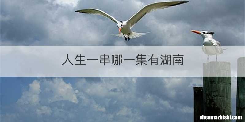 人生一串哪一集有湖南