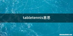 tabletennis意思