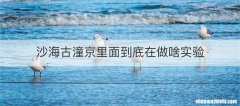沙海古潼京里面到底在做啥实验