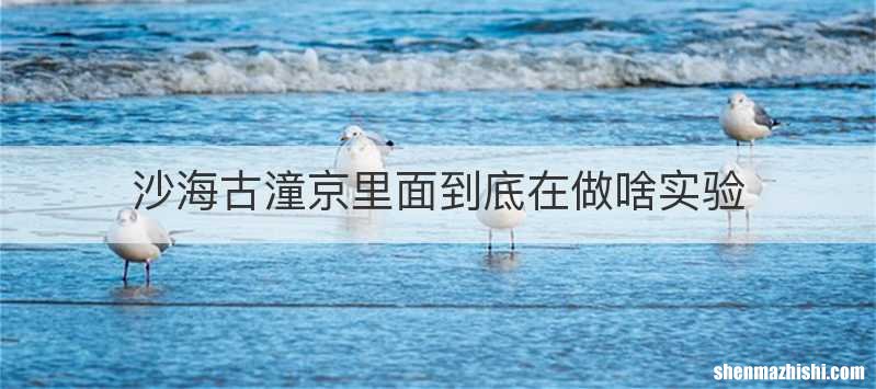 沙海古潼京里面到底在做啥实验