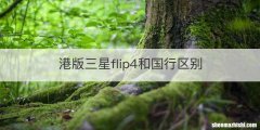 港版三星flip4和国行区别
