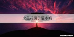 火星花属于灌木吗