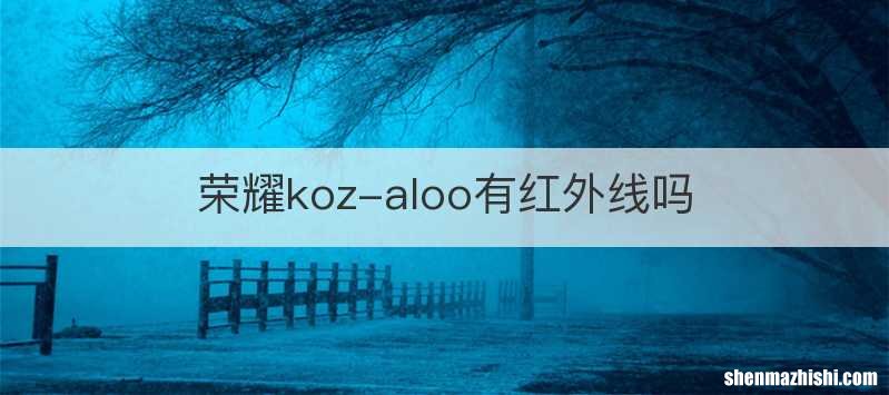 荣耀koz-aloo有红外线吗