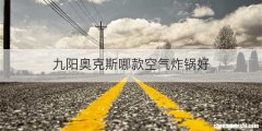 九阳奥克斯哪款空气炸锅好