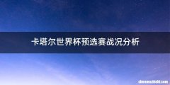 卡塔尔世界杯预选赛战况分析