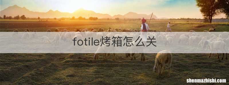 fotile烤箱怎么关