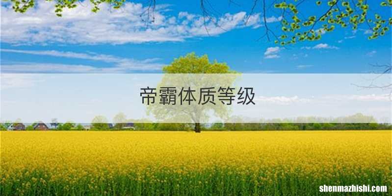 帝霸体质等级