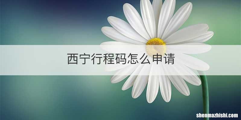 西宁行程码怎么申请