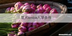 厦大emba入学条件