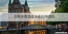 五粮液尊酒盘龙是贴牌酒吗