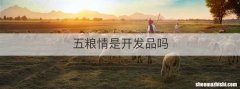 五粮情是开发品吗