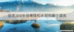 坦克300牛油果绿和水泥灰哪个漂亮