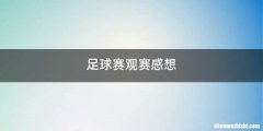 足球赛观赛感想