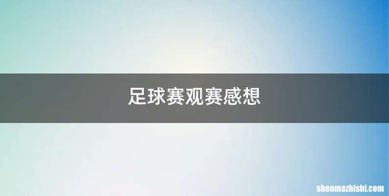 足球赛观赛感想