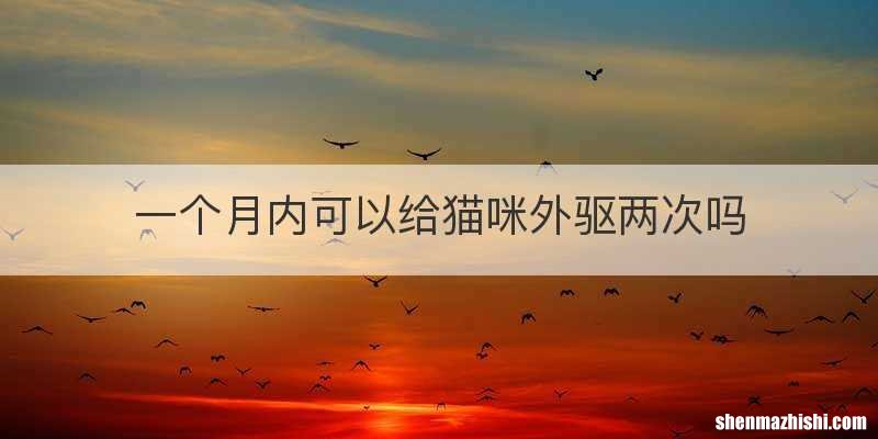 一个月内可以给猫咪外驱两次吗