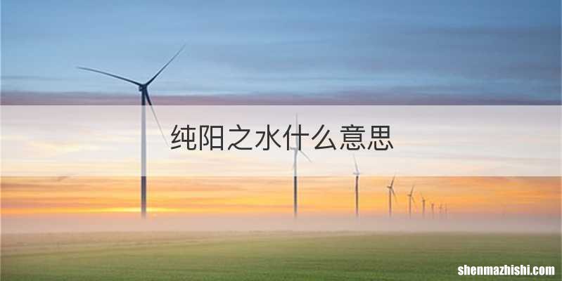 纯阳之水什么意思