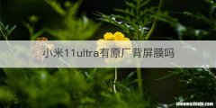 小米11ultra有原厂背屏膜吗