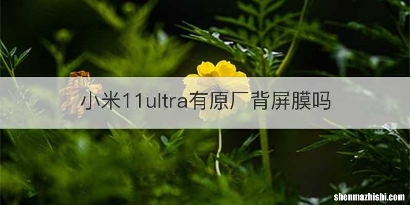 小米11ultra有原厂背屏膜吗