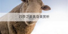 四季之美黄昏美赏析