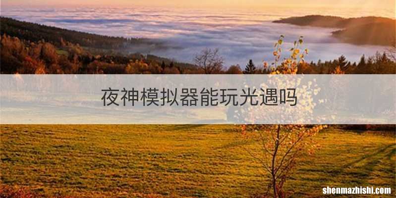 夜神模拟器能玩光遇吗