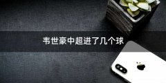 韦世豪中超进了几个球