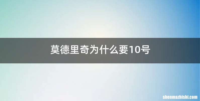 莫德里奇为什么要10号