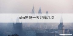 sim密码一天能输几次