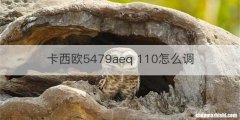 卡西欧5479aeq 110怎么调