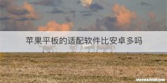 苹果平板的适配软件比安卓多吗