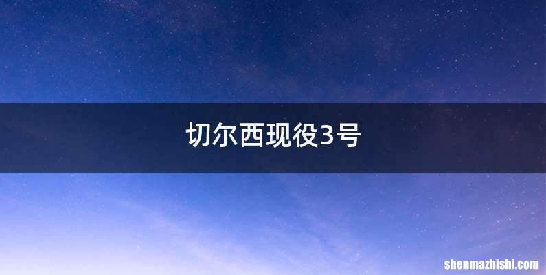 切尔西现役3号
